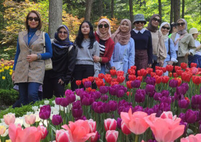 Spring at Garden Morning Calm